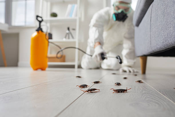 Commercial Kitchen Cockroach Control in Point Pleasant
